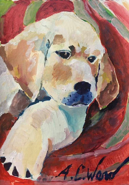 Paws: Golden Puppy 1