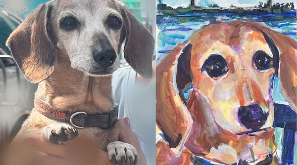 Pet Portraits