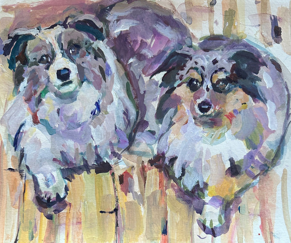 Paws: Aussie Giclee Prints
