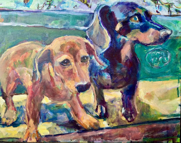 Pet Portraits
