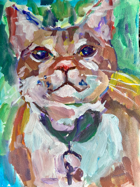 Paws: Orange Tabby