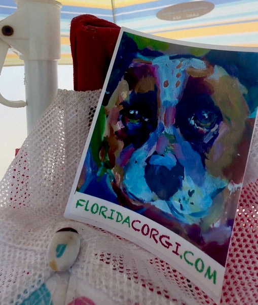 Florida Corgi Debut Sticker