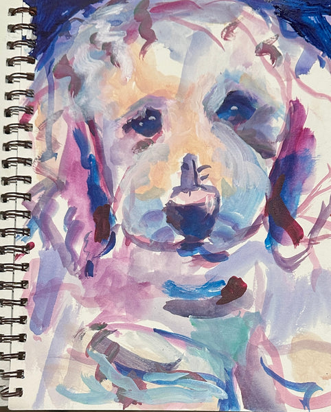 Market Dog Portrait