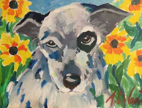 Paws: Aussie Giclee Prints
