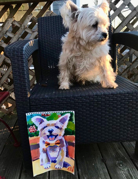 Pet Portraits