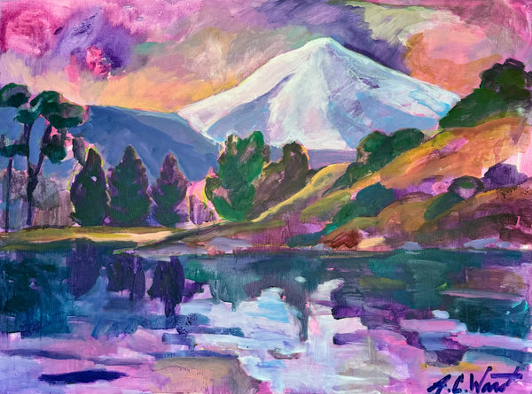 CMR: Villarrica Volcano, Chile